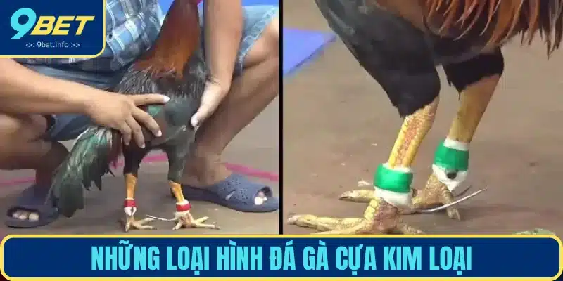 Những hình thức chọi kê gắn kim loại